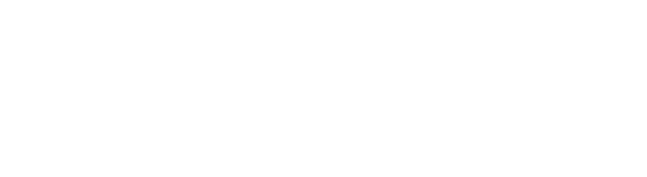 Abesllie